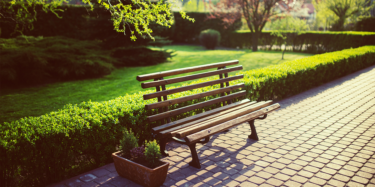 Proyecto Labor, Servicio de paisajismo y jardinería en Guadalajara y Corredor del Henares Proyecto Labor, Servicio de Paisajismo y jardinería en Guadalajara y Corredor del Henares